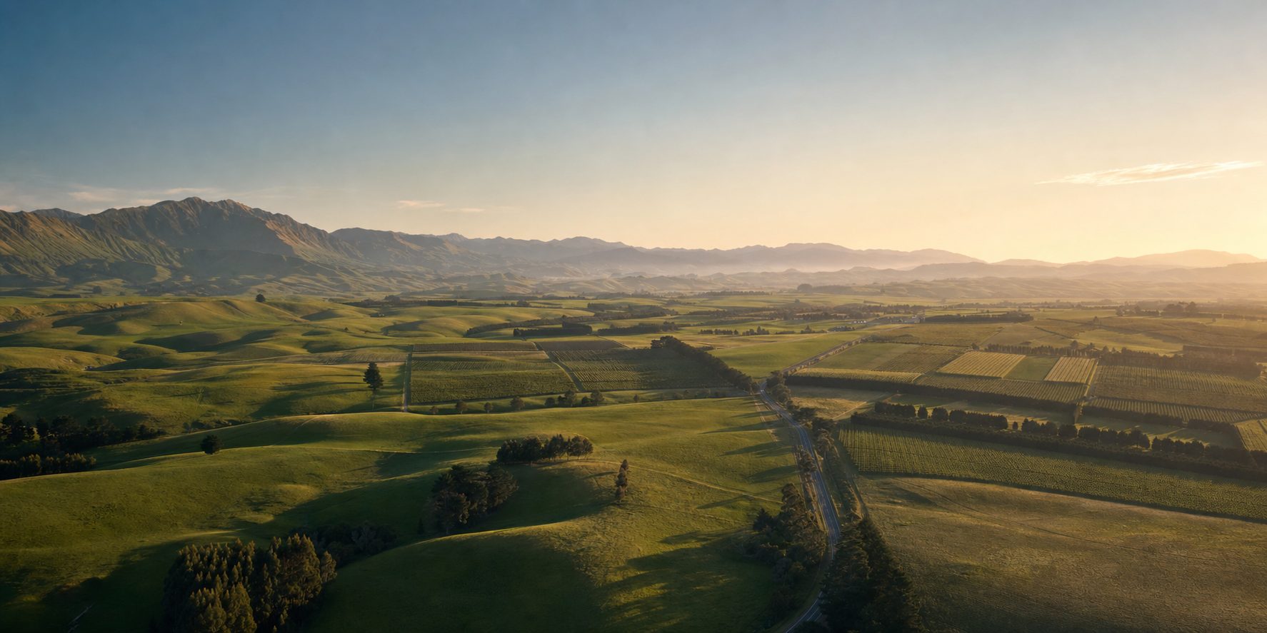Rolling New Zealand pasture and horticultural blocks at golden hour